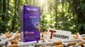 Milano Smart Blueberry · Милано Смарт Черника — оптом в Москве