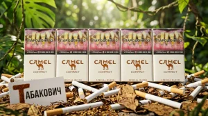 CAMEL SPECIAL COMPACT WHITE МЕД · КЭМЛ СПЕШЛ КОМПАКТ БЕЛЫЙ МЕД — оптом в Москве