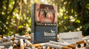Winston Platinum Club · ВИНСТОН ПЛАТИНУМ КЛАБ — оптом в Москве