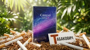 Cavallo Clip & Go — оптом в Москве