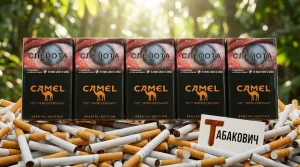 CAMEL SPECIAL EDITION CHOCOLATE · КЭМЛ СПЕШЛ ЭДИШН ШОКОЛАД — оптом в Москве