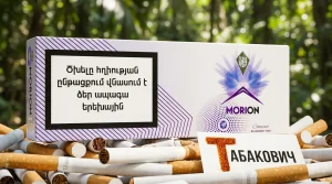 MORION COMPACT BLUEBERRY MINT · Морион компакт голубика мята — оптом в Москве
